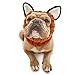 Zoo Snoods Fox Costume - Knit Dog Snood Ear Wrap for Pets, Warm Neck Cover for Halloween and Winter (Medium)