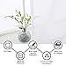 NICETOWN Sheer Curtain Panels for Dining Room, Semi Voile Drapes Faux Linen Sheer Curtains for Patio Glass Door, 55 inches Wide x 63 inches Long, White, 2 Panels