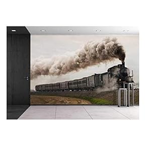 White Rose Background - Removable Wall Mural | Self-Adhesive Large Wallpaper - 66x96 inches