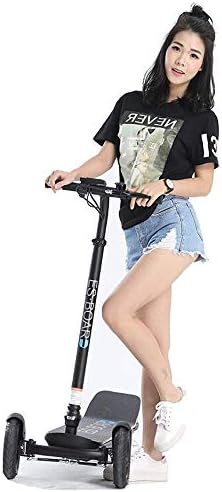 MEETLIEF Electric Scooter Powered Scooter,3-Wheel Adult Folding Balance Scooters Balance Car