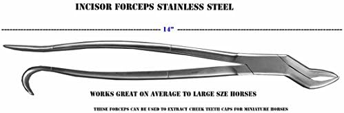 14 inch Equine Dental Tooth Incisor Forceps Instruments Wolf Extracting 98468