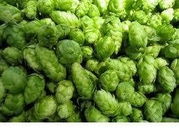 Cascade Lovers Hop Pack by Hop Hero