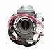 250CC Carburetor Carb For 250 Hammerhead GT GTS SS 250CC Dune Buggy Honda CH125 CH150 CH250 Elite Scooter 250cc Quad ATV Scooter 250 CA11