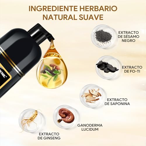Black Hair Dye Shampoo 3 in 1, Shampoo para Canas con Tinte, Champú para Teñir el Cabello Negro, Cobertura de Canas con Ingredientes Herbales, 500ml (Negro)