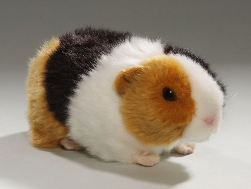 Guinea Pig Stuffed Animals - Kritters in the Mailbox - Guinea Pig