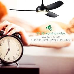 Duckbeer 46" Modern Ceiling Fans with Lights and