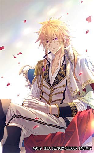 猛獣使いと王子様 switch ソフトのみ