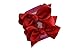 3 Inch Girls Boutique Hair Bow Set By Funny Girl Designs (Red)