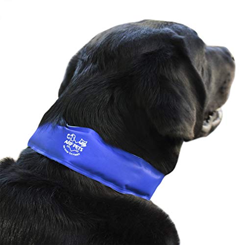 Arf Pets Dog Cooling Collar, 100% Non-Toxic Material, Relieves Heat Stress - Stays Cool for Hours (Certified Refurbished)