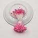 FLOWER 1200PCS Artificial Double Heads Stamen Pearlized for Craft Cards Cakes Decoration Floral DIY Wreath Accessories (White)