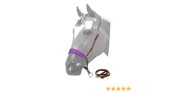 Showman Purple Glitter Overlay Leather Tie Down Keeper With Rhinestone Crystal Concho Studs Trueyogaevergreen Com