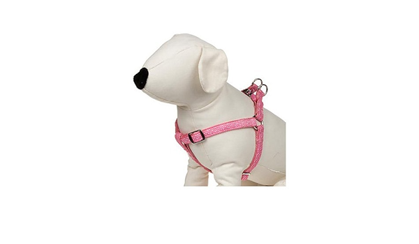 petco harness