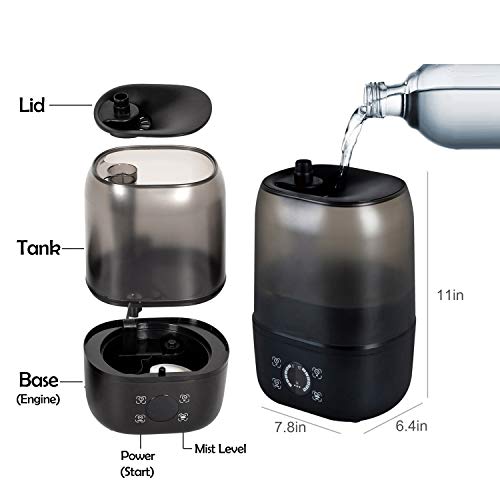 automatic fogger for reptiles