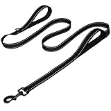 Joytale Dog Leash Heavy Duty for Large Dogs That