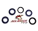 All Balls Wheel Bearings and Seal Kit (25-1202)