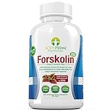 BodyPrime Formulas Forskolin w/ 40% & 20% Standardized Extracts - Fat Burner, Appetite Suppressant & Weight Loss Pills - 260 mg per Capsule - 90 Capsules