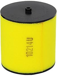 Honda 17254-HM8-000 Air Filter