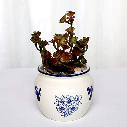 塗装セラミッククリエイティブフラワーポットジューシープランターフラワーポットデスクトップ装飾工芸品フラワーポット植物コンテナーポット 花瓶デスクトップホームデコレーション花瓶ミニガーデンポット サイズ 7 キッチンo Innhs Edu Ph