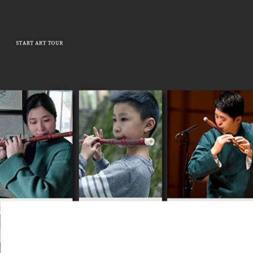 Zyj C D E F G Key Bamboo Flute Chinese Traditional Musical Instrument Black Vertical Woodwind Instrument (Size : C Tone) - Thumbnail 6