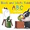 Black and White Rabbit's ABC (Little Rabbit Books): Baker, Alan ...