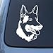 GERMAN SHEPHERD HEAD - Dog - Vinyl Decal Sticker #1516 | Vinyl Color: White