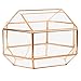 Koyal Wholesale Geometric Glass Wedding Card Box, Rose Gold Wedding Reception Drop Box, Terrarium Glass Planter