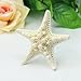 Dxhycc Stylish Real Starfish Special Sea Lover Hairpin Star Hair Clip Gift 1 pc Beige