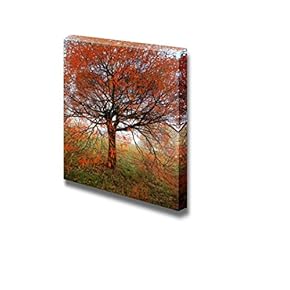 Canvas Prints Wall Art - Tree with Red Leaves in Autumn | Modern Wall Decor/Home Art Stretched Gallery Canvas Wraps Giclee Print & Ready to Hang - 12" x 12"