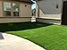 GOLDEN MOON Artificial Grass 1.57