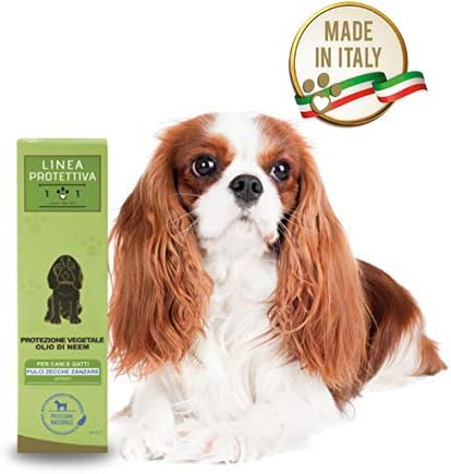 spray per orsi di frontiera