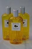 Back to Basics Sunflower Moisture Infusing Shampoo 12 oz ~ 3 PACK