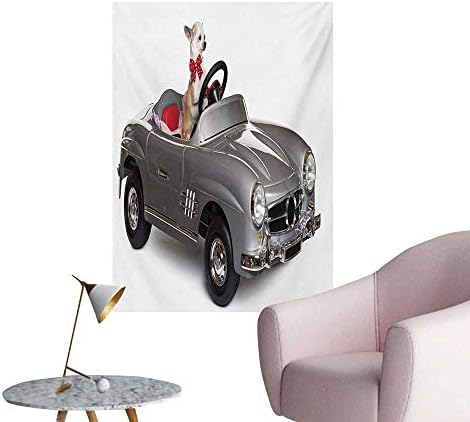 zhaoxuefa Dog Driver Wallpaper Chihuahua Puppy in The Car with Bow Tie Fashion Auto Fancy First Studio ShotMulticolor W32 xL36 Poster Paper