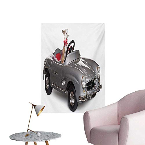zhaoxuefa Dog Driver Wallpaper Chihuahua Puppy in The Car with Bow Tie Fashion Auto Fancy First Studio ShotMulticolor W32 xL36 Poster Paper