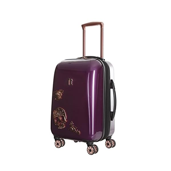it luggage candy skull