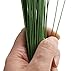 Green Crafting Floral Stem Wire 14 Inch 18 Gauge for Handcrafts 100 Counts by ZXSWEET