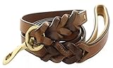 Kingston Leather Braided Dog Leash with Leather Padded Handle