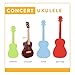 Kala KA-MK-C Makala Concert Ukulele