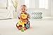 Fisher-Price Activity Toy, Lion
