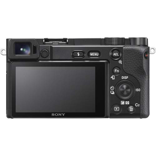 Sony Alpha a6100 Mirrorless Digital Camera (ILCE6100L/B) with 1650mm