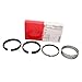 Mahle 41787CP.020 Engine Piston Ring Set