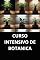 Livro CURSO INTENSIVO DE BOTANICA