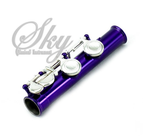 image for Sky Music Sky C Flute with Lightweight Case, Cleaning Rod, Cloth, Join