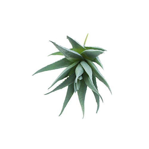 Goodma 3 Pieces Realistic Artificial Aloe Faux Succulent Textured Spiky Green Haworthia Cactus Plants Unpotted (Light Green)