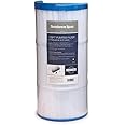 Sundance 6540-490 OEM Spa Filter Factory Original