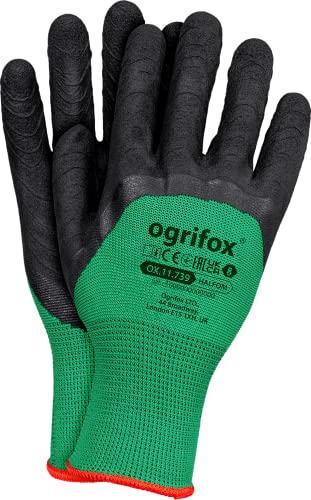 Ogrifox Latexhandschuhe, Schutzhandschuhe, Arbeitshandschuhe Ox.11.739 Halfom, Grün-Schwarz, 8 Größe, 240 Paar