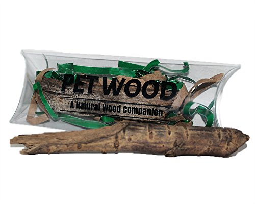 Pet Wood Natural Wood Companion - Man's Best Friend in a Box - Don't pet rock, Pet Wood - Funny Gag Gifts - Silly Gifts by Gears Out