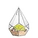 NCYP Silver Hanging Glass Geometric Terrarium, 6.8 x 6.8 x 8.6 Inches Teardrops Shape Display Planter for Succulent Air Plants, Indoor Decor Flower Holder, Handmade (NO Plants)