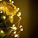 Birsppy Ittiot Fairy String Lights 33ft with 100 LEDs, Christmas Lights Waterproof Outdoor & Indoor Decorative Lights for Bedroom, Garden, Patio, Parties, UL Power Supply Copper Wire Lights