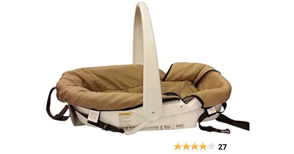 flat car seat preemies