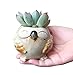 LANKER 6 Pack 3.1 Inch Mini Owl Pots Flowing Glaze Ceramic Succulent Planter Plant Container(3.1 inch 6pcs)